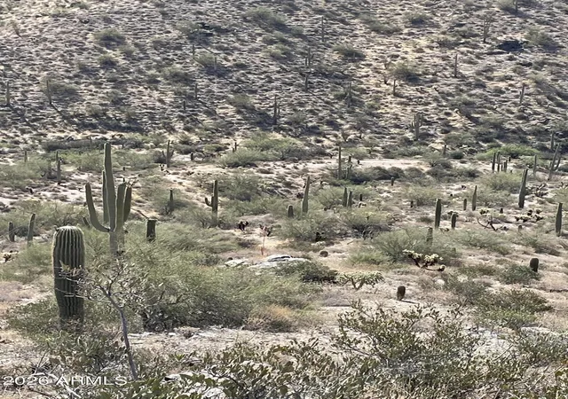 Homes for sale in Queen Valley, AZ | 3246 N Silver Tip Trl #C, Queen Valley, AZ 85118 | MLS# 6977613