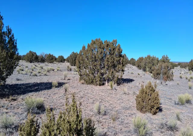 1st image of 24 County Road N6578 #857, Saint Johns, AZ 85936 | MLS# 6969489