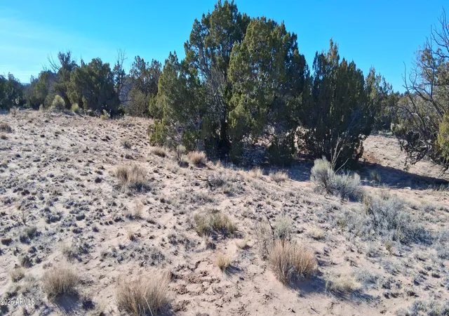 2nd image of 24 County Road N6578 #857, Saint Johns, AZ 85936 | MLS# 6969489