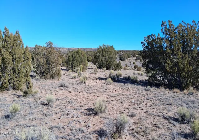 Photo 3 of Land for sale at 24 County Rd N6578 #857, Saint Johns, AZ 85936 | MLS# 6969489 | Listing updated on 2026-01-17