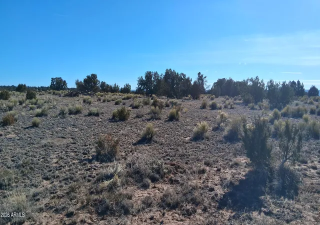 Photo 4 of Land for sale at 24 County Rd N6578 #857, Saint Johns, AZ 85936 | MLS# 6969489 | Listing updated on 2026-01-17