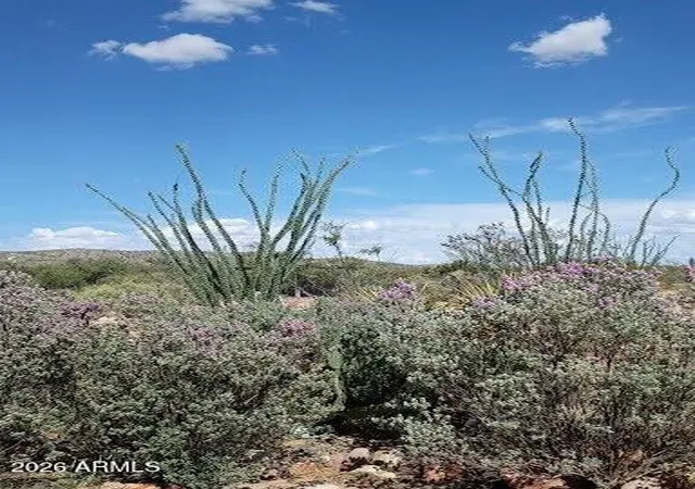 61st image of 3644 W Vista Del Viejo, Bisbee, AZ 85603 | MLS# 6973437