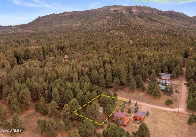 38th image of 24 County Road 2065, Alpine, AZ 85920 | MLS# 6973891