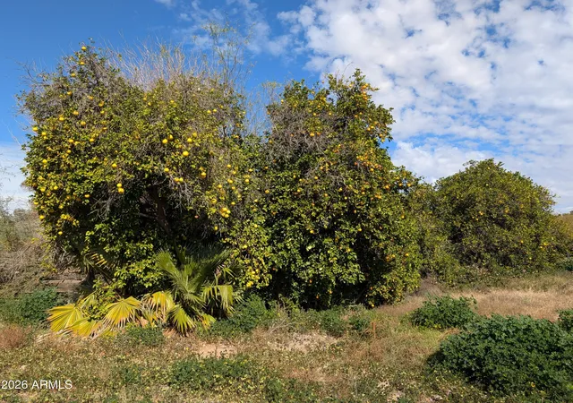 Photo 3 of Land for sale at 12630 E Vallejo St, Chandler, AZ 85249 | MLS# 6975284 | Listing updated on 2026-09-15