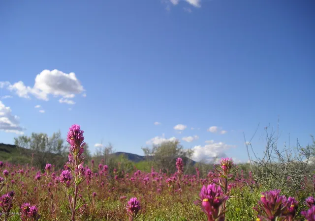 Photo 2 of Land for sale at X20 S Horseshoe Trl #54, Tonopah, AZ 85354 | MLS# 6976193 | Listing updated on 2026-02-01