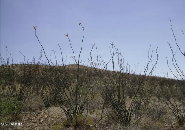 Photo 3 of Land for sale at 405 77 N Wilderness Trl #105, Douglas, AZ 85607 | MLS# 6975712 | Listing updated on 2026-01-28