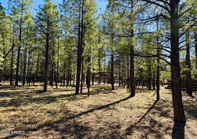 5th image of 826 Jacks Canyon Dr, Happy Jack, AZ 86024 | MLS# 6978033