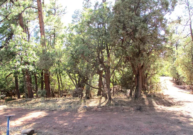 Homes for sale in Pine, AZ | 6413 W Barton Dr, Pine, AZ 85544 | MLS# 6978382