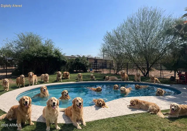 Photo 4 of Single family home for sale at 12423 N 64th Street, Scottsdale, AZ 85254 | MLS# 6980008 | Listing updated on 2026-06-16