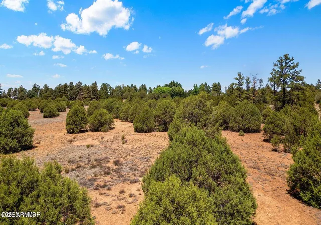 4th image of 7104 State Route 260 --, Show Low, AZ 85901 | MLS# 6980985