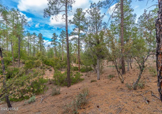 5th image of 3109 E Game Trl #250, Payson, AZ 85541 | MLS# 6986459