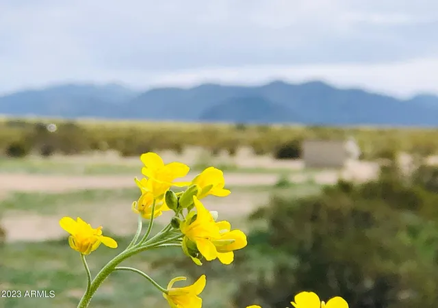 Photo 4 of Land for sale at 0 W Siesta Way #482, Tonopah, AZ 85354 | MLS# 6983902 | Listing updated on 2026-02-13