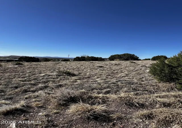 Homes for sale in Concho, AZ | 60 Short Ln #207A, Concho, AZ 85924 | MLS# 7019464