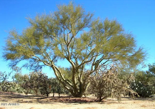 Photo 1 of Land for sale at 0 N 220th Avenue, Surprise, AZ 85387 | MLS# 6994070 | Listing updated on 2026-09-14