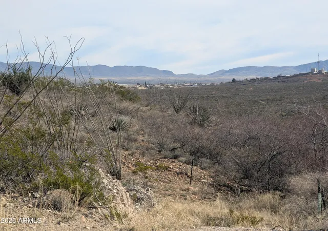 Homes for sale in Tombstone, AZ | Tbd S Charleston Rd, Tombstone, AZ 85638 | MLS# 6989090