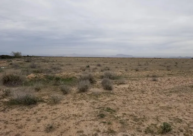 Photo 1 of Land for sale at 0 W Elliot Rd, Tonopah, AZ 85354 | MLS# 6989539 | Listing updated on 2026-02-25
