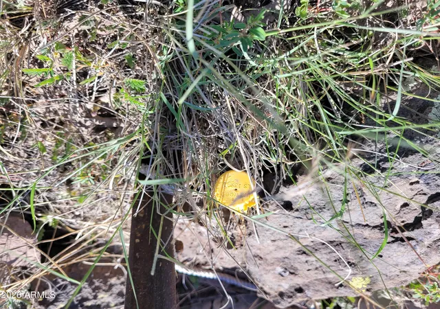 Photo 2 of Land for sale at 0 Shivers Ln, Paulden, AZ 86334 | MLS# 6990991 | Listing updated on 2026-08-01