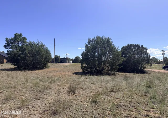 Homes for sale in Overgaard, AZ | 2287 Meadow Ln #165, Overgaard, AZ 85933 | MLS# 6991537
