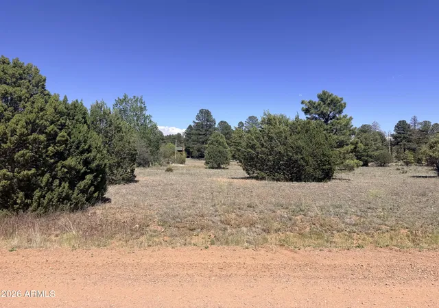 Homes for sale in Overgaard, AZ | 2287 Meadow Ln #165, Overgaard, AZ 85933 | MLS# 6991537
