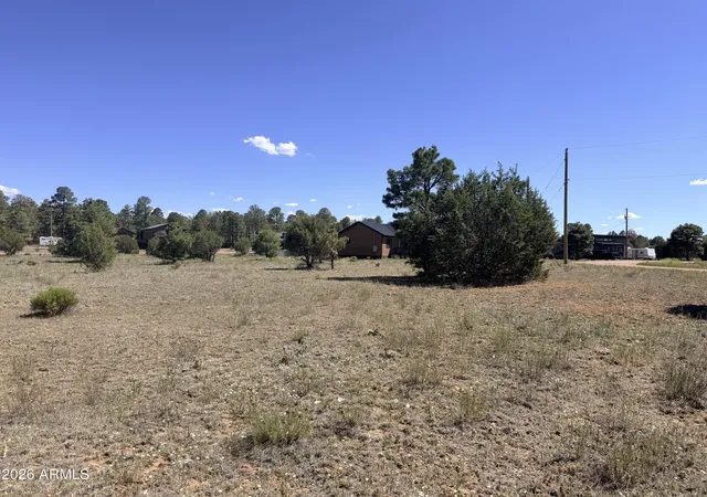 Homes for sale in Overgaard, AZ | 2287 Meadow Ln #165, Overgaard, AZ 85933 | MLS# 6991537