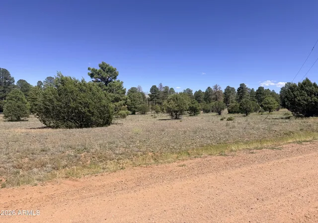 Homes for sale in Overgaard, AZ | 2287 Meadow Ln #165, Overgaard, AZ 85933 | MLS# 6991537