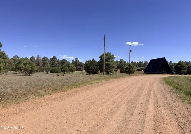 Homes for sale in Overgaard, AZ | 2287 Meadow Ln #165, Overgaard, AZ 85933 | MLS# 6991537