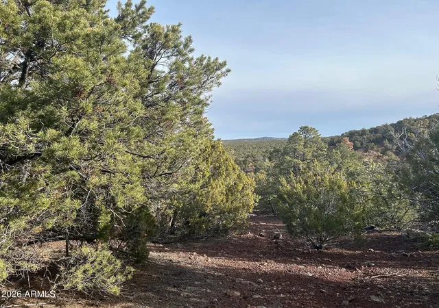 Photo 3 of Land for sale at Lot 86 Ricks Rd #86, Vernon, AZ 85940 | MLS# 6992403 | Listing updated on 2026-03-03