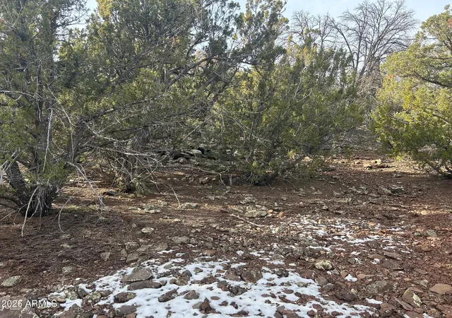 Photo 3 of Land for sale at Lot 86 Ricks Rd #86, Vernon, AZ 85940 | MLS# 6992403 | Listing updated on 2026-03-03