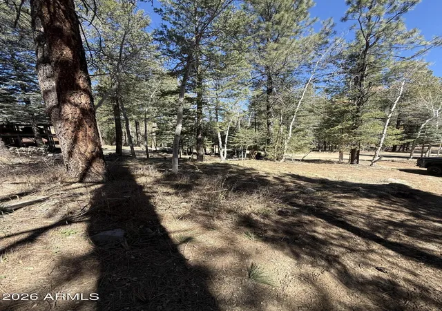 39th image of 8170 Poachers Row, Prescott, AZ 86303 | MLS# 6995767