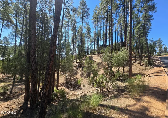 Photo 3 of Land for sale at 401 N Grapevine Dr #525, Payson, AZ 85541 | MLS# 6992631 | Listing updated on 2026-09-23