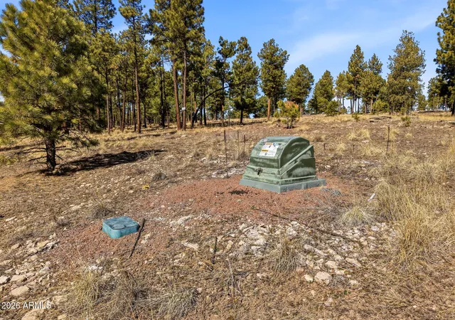 21st image of Tbd N2147 Lot #B, Alpine, AZ 85920 | MLS# 6992699