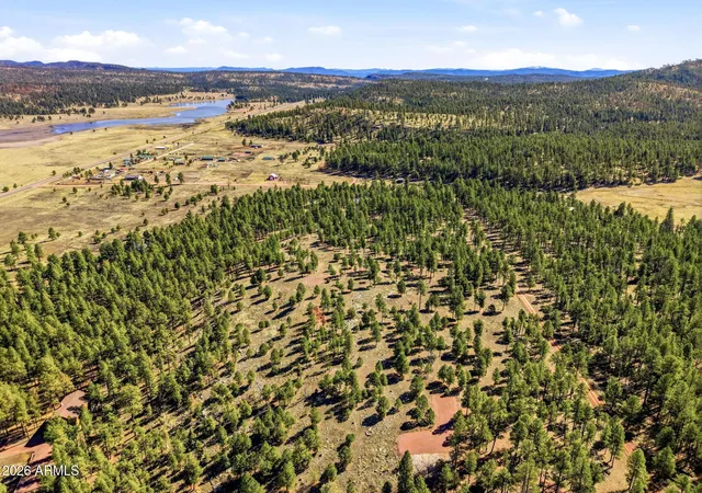 4th image of Tbd N2147 Lot -- #B, Alpine, AZ 85920 | MLS# 6992699