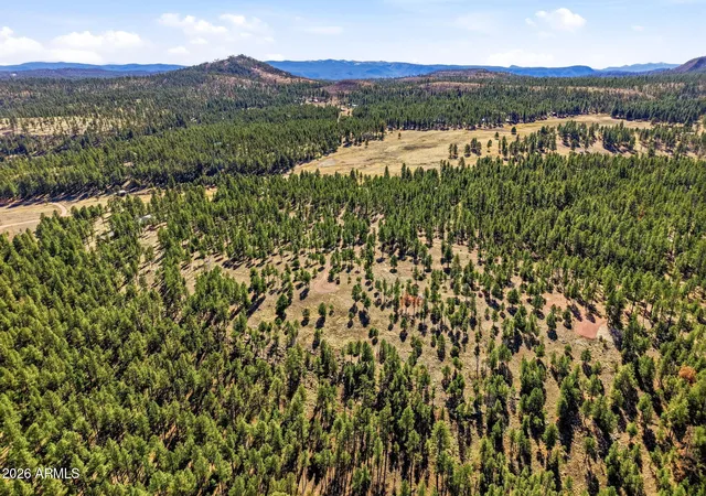 5th image of Tbd N2147 Lot -- #B, Alpine, AZ 85920 | MLS# 6992699