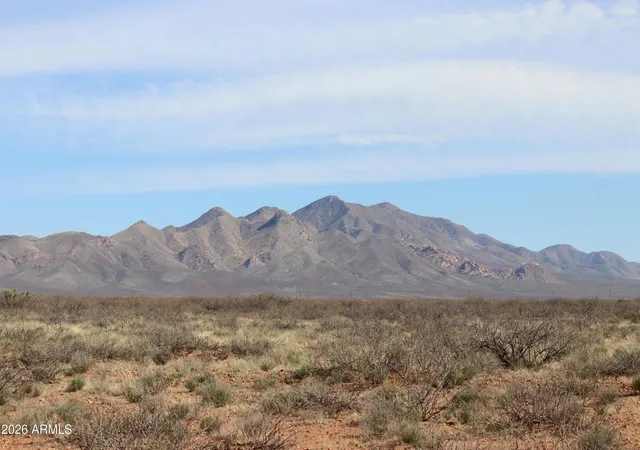 Homes for sale in Elfrida, AZ | Tbd W Austin Henley Rd #6, Elfrida, AZ 85610 | MLS# 6994200