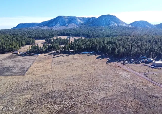 3rd image of 3 County Road N2261 --, Alpine, AZ 85920 | MLS# 6995035
