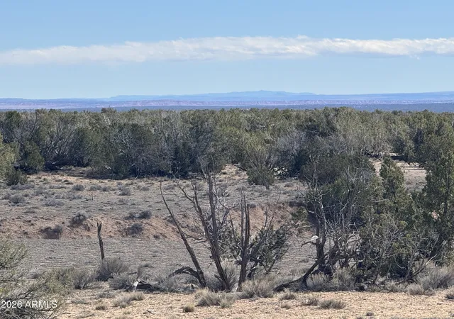 Photo 3 of Land for sale at Lot 75 Red Sky Ranch #75, St Johns, AZ 85936 | MLS# 6995305 | Listing updated on 2026-08-17