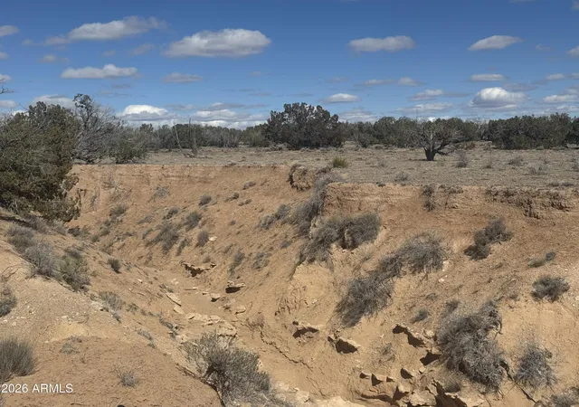 Photo 3 of Land for sale at Lot 75 Red Sky Ranch #75, St Johns, AZ 85936 | MLS# 6995305 | Listing updated on 2026-08-17