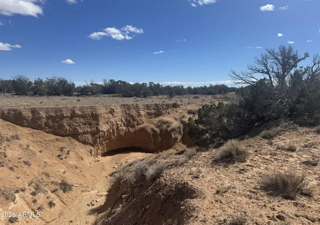 Photo 4 of Land for sale at Lot 75 Red Sky Ranch #75, St Johns, AZ 85936 | MLS# 6995305 | Listing updated on 2026-08-17
