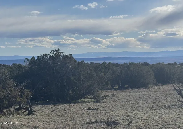 2nd image of Lot 93 Red Sky Ranch #93, St Johns, AZ 85936 | MLS# 6995331