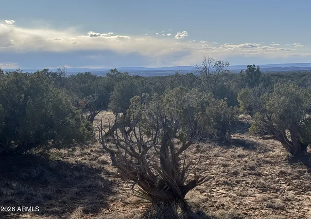Photo 3 of Land for sale at Lot 93 Red Sky Ranch #93, St Johns, AZ 85936 | MLS# 6995331 | Listing updated on 2026-08-17