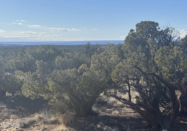 Photo 4 of Land for sale at Lot 93 Red Sky Ranch #93, St Johns, AZ 85936 | MLS# 6995331 | Listing updated on 2026-08-17