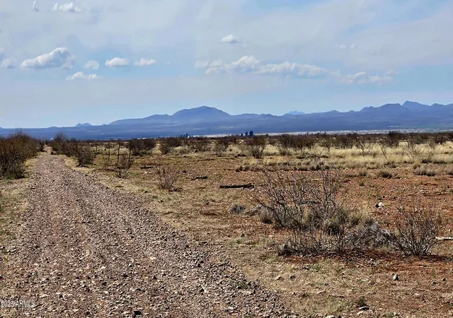 Homes for sale in Mc Neal, AZ | Lot 1 N Night Sky Rd #1, Mc Neal, AZ 85617 | MLS# 6995399