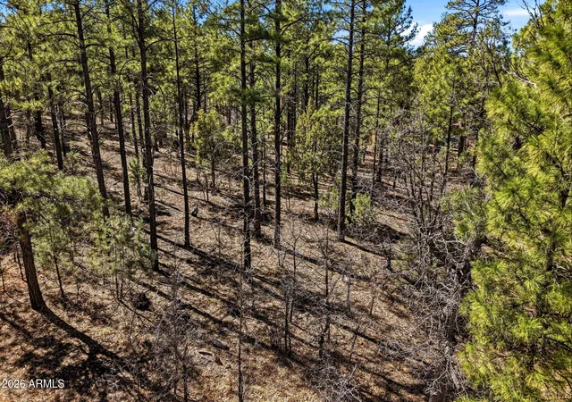 3rd image of 3581 W Senna Ln W #247, Show Low, AZ 85901 | MLS# 6998758