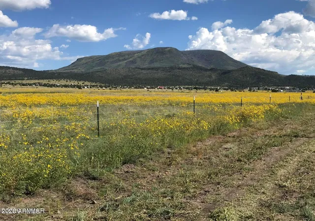 1st image of 26 N Cr 2009 #E, Nutrioso, AZ 85932 | MLS# 6996194