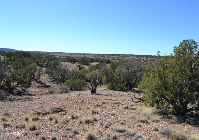 3rd image of 277 County Road N9234 -- #146A,B,C,D, Concho, AZ 85924 | MLS# 6996216