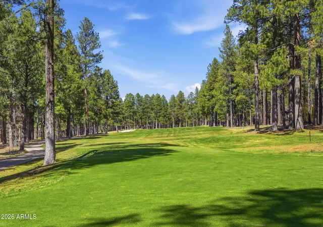 67th image of 3441 Griffiths Spg, Flagstaff, AZ 86005 | MLS# 6997800