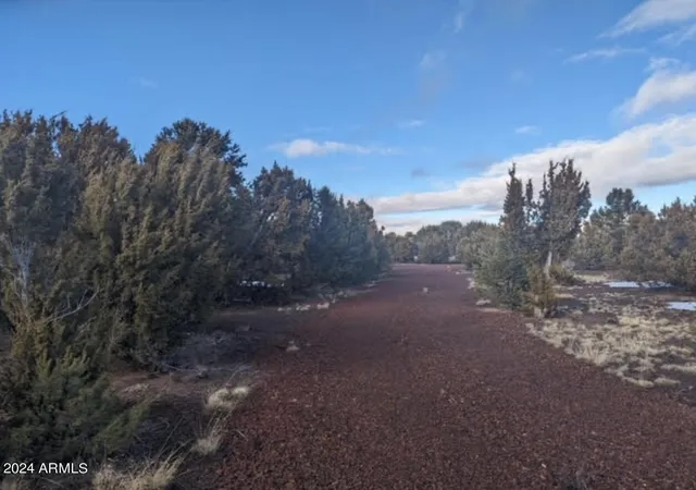 Photo 3 of Land for sale at 12 N3582, Vernon, AZ 85940 | MLS# 6998293 | Listing updated on 2026-03-13