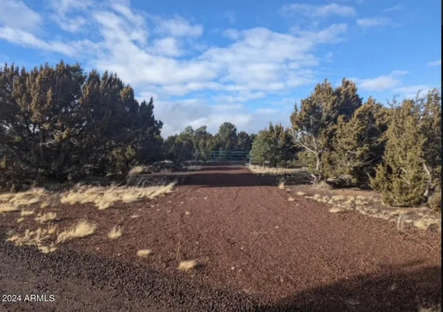 Photo 3 of Land for sale at 12 N3582, Vernon, AZ 85940 | MLS# 6998293 | Listing updated on 2026-03-13