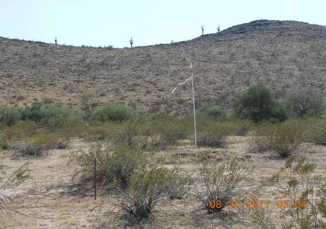 13th image of 339xx W Carver Rd, Tonopah, AZ 85354 | MLS# 6998440