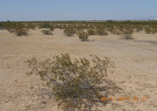 5th image of 339Xx W Carver Rd, Tonopah, AZ 85354 | MLS# 6998440